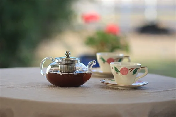 【保存版】ピスタチオの病気と害虫対策、たった5分で見分けるポイント