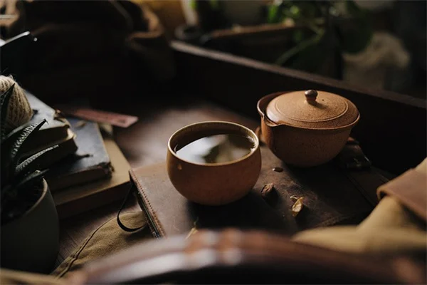 サボテン寄せ植えが枯れる前に知っておきたい、プロが教える3つのコツ