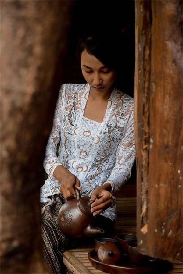 秋咲きワイルドフラワー10選｜10年選び続けた私が本気で選んだ手間いらずの品種たち